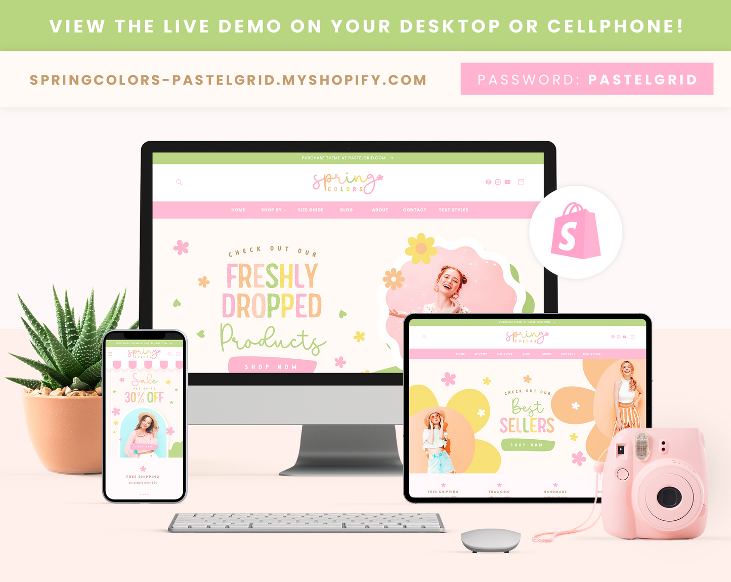 Shopify Theme