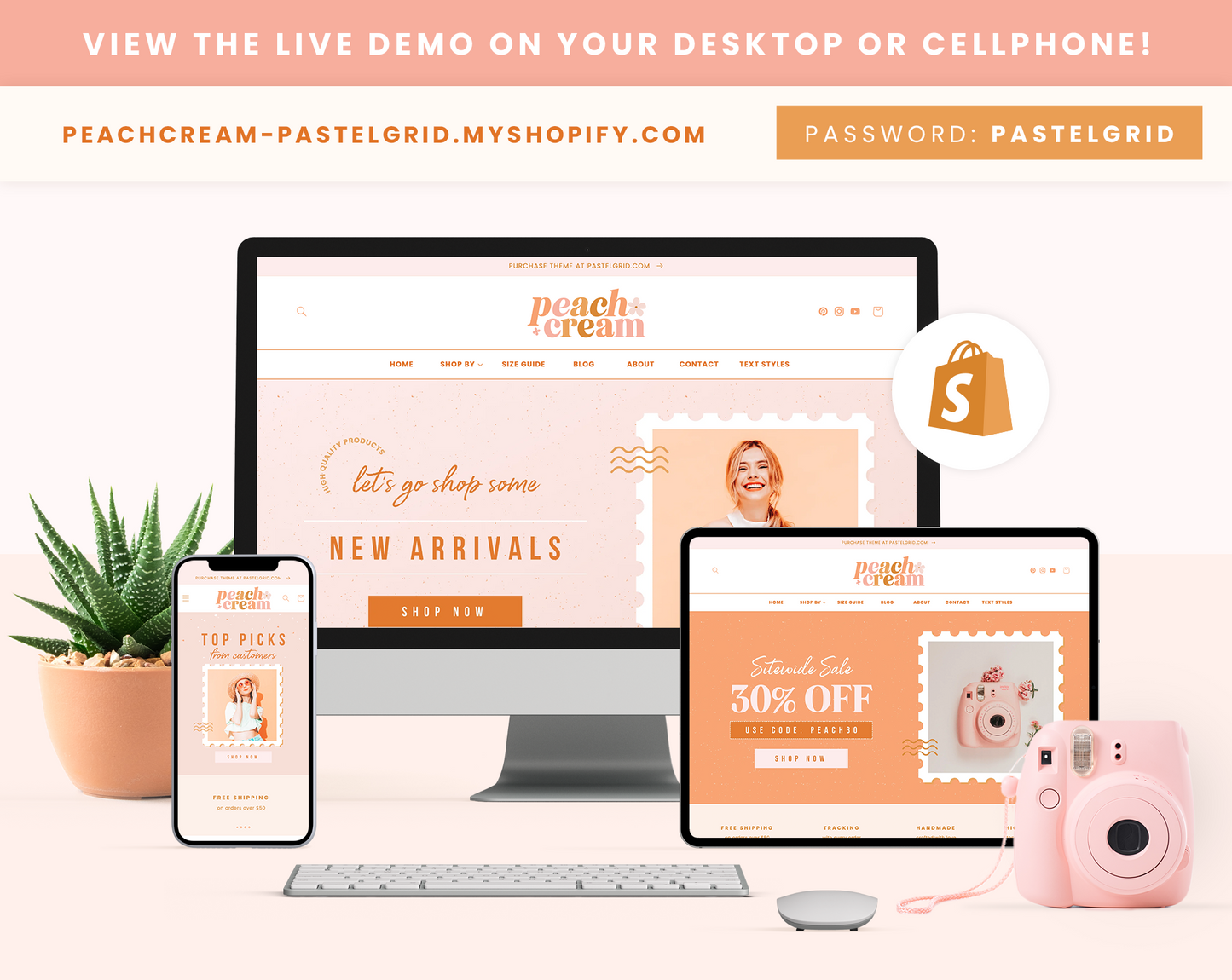 Shopify Theme
