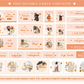 Shopify Theme
