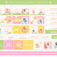 Shopify Theme