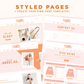 Shopify Theme