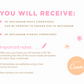 Instagram Bundle