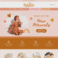 Shopify Theme
