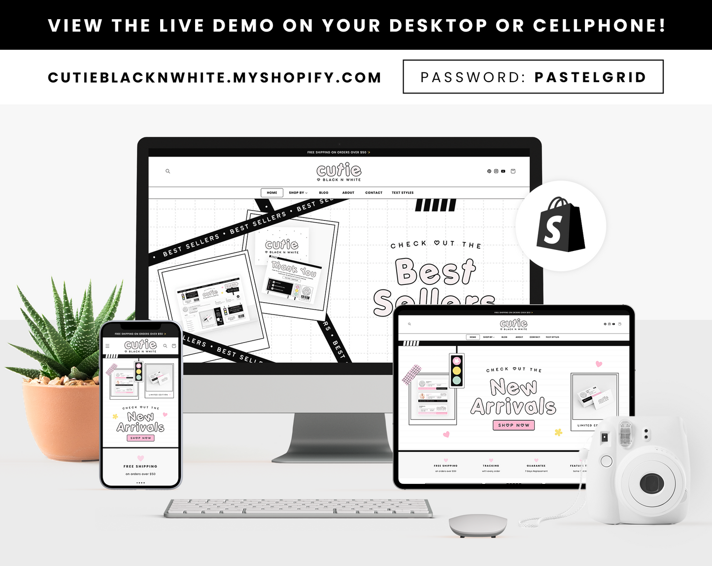 Shopify Theme