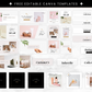 Shopify Theme